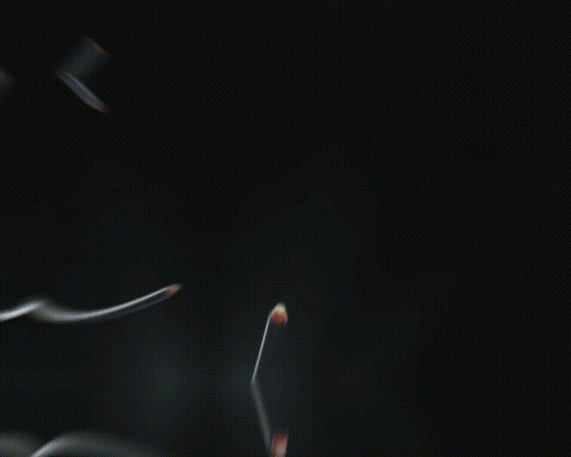 --并网1-3 (7).gif